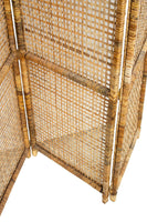 Boho Vintage Wicker Folding Screen