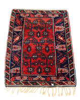 Hand-Knotted Red and Blue Wool Rug - 4' x 6'
