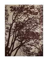 Organic Framed Printed Textile by Marimekko